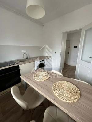 Apartament 1 camera , cu piscina , pet friendly, Chisoda - imagine 2