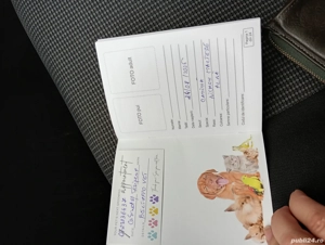 Bishon maltez  - imagine 4