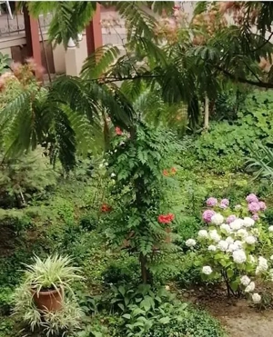 Iosefin-16 Decembrie | 2 Camere | Boxa + Garaj | Mobilat si Utilat. - imagine 16