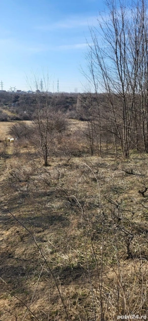 Teren intravilan Filesti 1850 mp - imagine 5