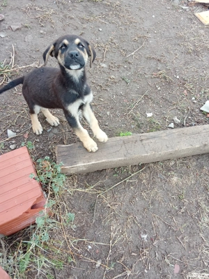 100euro bucata - imagine 3   100euro bucata - imagine 3