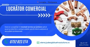 Lucrator comercial depozit instalatii termice - Timisoara