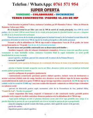 Teren   padure cu izvor apa termanala si izvor mineral