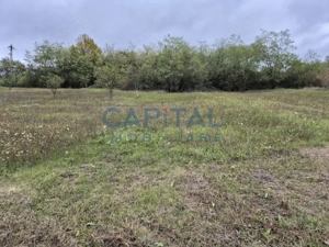 Oportunitate de investitie! Teren extravilan 11 400 mp, Apahida - imagine 3