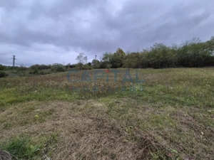 Oportunitate de investitie! Teren extravilan 11 400 mp, Apahida - imagine 4