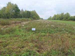 Vand teren intravilan Gurahont, str. Crisan(fosta ferma pomicola)