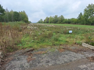 Vand teren intravilan Gurahont, str. Crisan(fosta ferma pomicola) - imagine 2 Vand teren intravilan Gurahont, str. Crisan(fosta ferma pomicola) - imagine 2