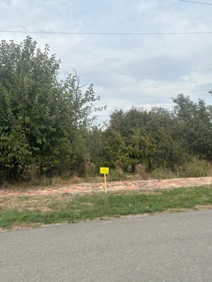 Proprietar vand teren 1439 mp pe strada DEJ, oras Sanicolau Mare - imagine 5