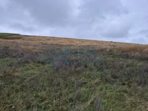 Oportunitate de investitie! Teren extravilan 11 400 mp, Apahida - imagine 5