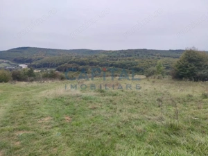 Fara comision! Teren 1000 mp, front 25 ml, PUZ in lucru, zona buna, Feleacu - imagine 5