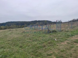 Fara comision! Teren 1000 mp, front 25 ml, PUZ in lucru, zona buna, Feleacu - imagine 6