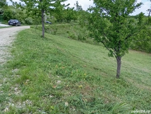 1371 m  Teren intravilat, sat Cotmenita, comuna Babana - imagine 2