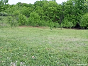 1371 m  Teren intravilat, sat Cotmenita, comuna Babana - imagine 3