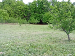 1371 m  Teren intravilat, sat Cotmenita, comuna Babana