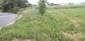 Teren Salcea, Plopeni - imagine 3