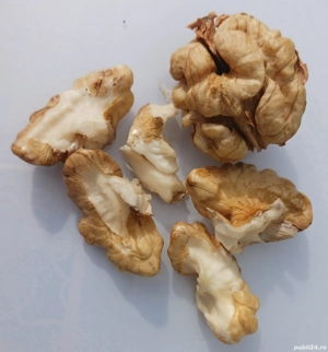 vand nuci în coajă subțire 2025