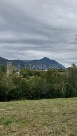 Teren intravilan, cu PUZ, Bran Tohanita, pârâu, pădure și priveliște de vis