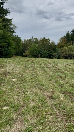 Teren intravilan, cu PUZ, Bran Tohanita, pârâu, pădure și priveliște de vis - imagine 5