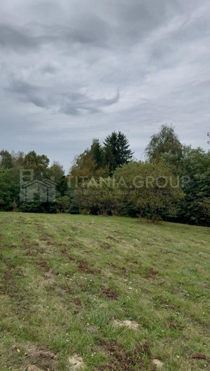 Teren intravilan, cu PUZ, Bran Tohanita, pârâu, pădure și priveliște de vis - imagine 2