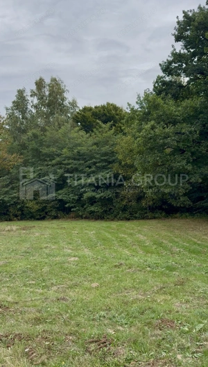 Teren intravilan, cu PUZ, Bran Tohanita, pârâu, pădure și priveliște de vis - imagine 3