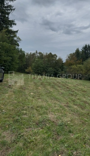 Teren intravilan, cu PUZ, Bran Tohanita, pârâu, pădure și priveliște de vis - imagine 7