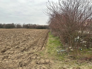 Teren 2055mp Bradesti   Strada Valea Rea - imagine 3 Teren 2055mp Bradesti   Strada Valea Rea - imagine 3