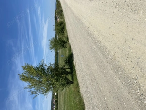 Loc de casă la Petresti 