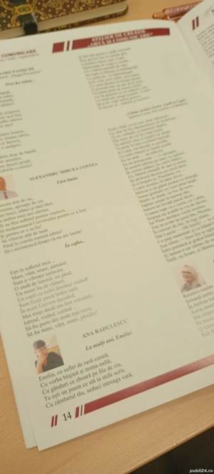 cursuri, sesiuni online, seminarii 