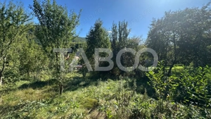 Casa individuala COMISION 0% cu 2 corpuri curte mare in Cisnadioara  - imagine 8