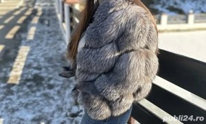 Blana naturala vulpe argintie