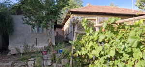 Casa batraneasca cu teren in Paltineni, Buzau - imagine 2