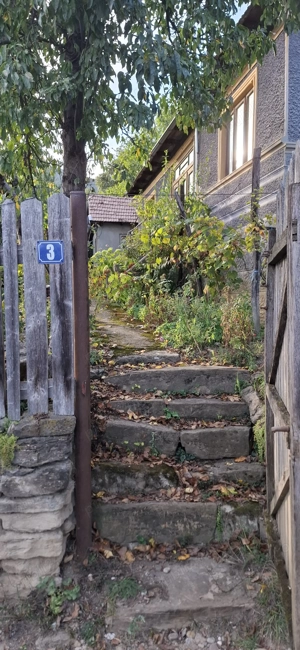 Casa batraneasca cu teren in Paltineni, Buzau