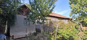 Casa batraneasca cu teren in Paltineni, Buzau - imagine 3