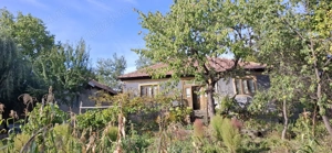 Casa batraneasca cu teren in Paltineni, Buzau - imagine 6