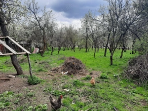 Casa vânzare Dâmbovița  - imagine 5