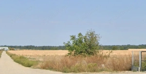 Teren intravilan Snagov pozitionat vizavi de centrul hipic Arcadia! - imagine 8