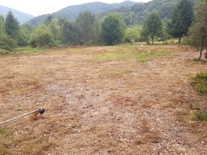 Pamant de vanzare poiana marului Caras Severin