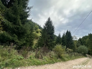 Vanzare Teren - imagine 2