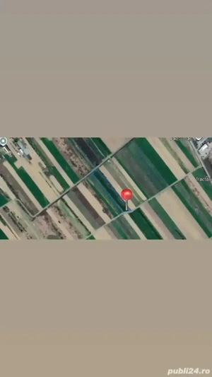 Vand teren extravilan Lugoj-fundatura closca - imagine 2