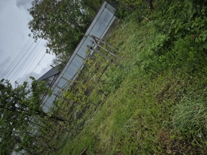 Casa cu anexe și padure - imagine 10