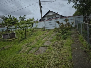 Casa cu anexe și padure - imagine 5