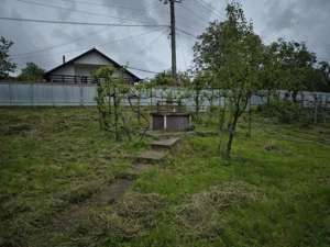 Casa cu anexe și padure - imagine 6