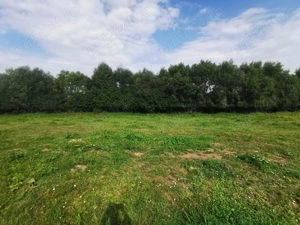 Vand casa in Vășcăuți, Siret, Suceava  - imagine 8