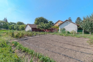 Vand casa spatioasa P+E, Santaul Mic, Comuna Bors - imagine 10 Vand casa spatioasa P+E, Santaul Mic, Comuna Bors - imagine 10