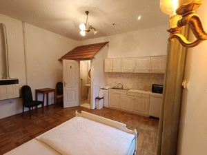 Garsoniera cu terasa proprie in vila interbelica, central, str Iorga - imagine 6
