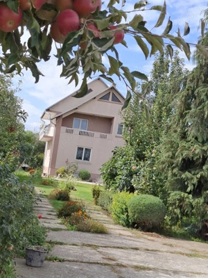 Vilă cu piscină și livadă - imagine 3