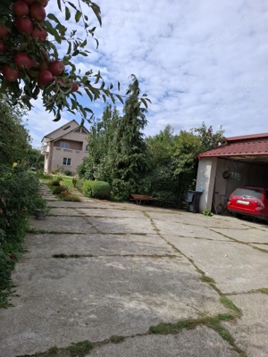 Vilă cu piscină și livadă - imagine 2