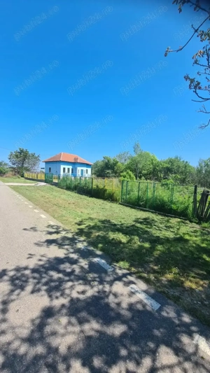 Casa cu teren 2000 m.p.  - imagine 4