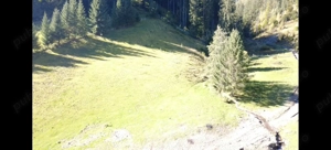 Teren Vatra Dornei 9122m.p. - imagine 7