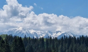 Teren 2.763 mp Poiana Brașov – lângă Stâna Turistică Sergiana - imagine 3